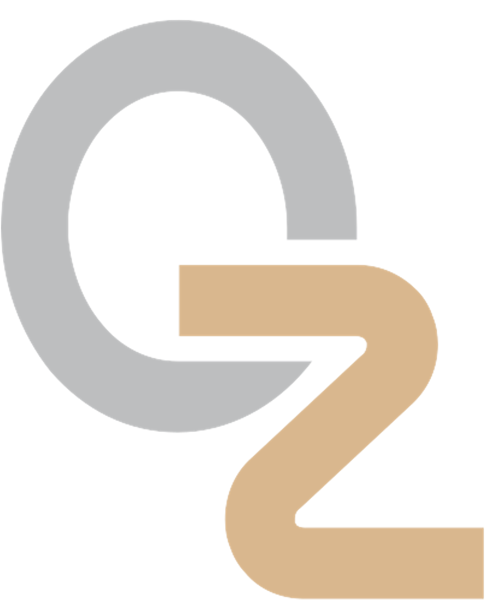 qizhi Logo